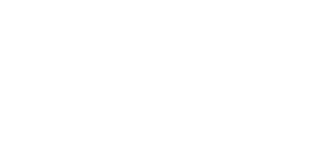 brandon hall group