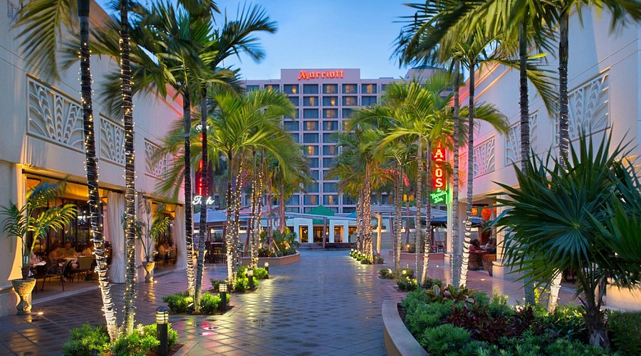 boca-raton-marriott-at boca-raton-marriott-at