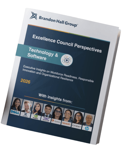 technology and software excellence council perspectives